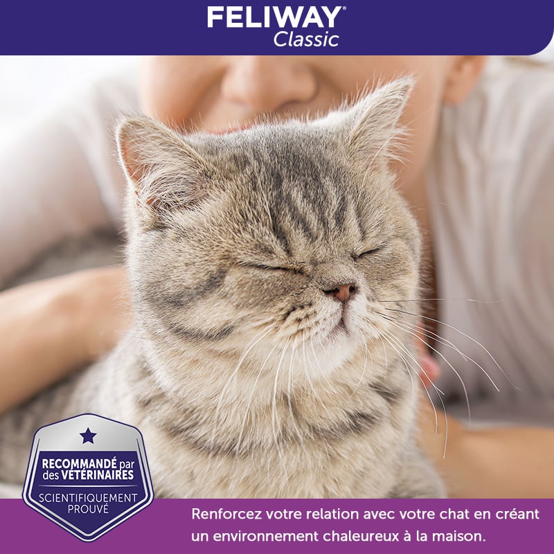 Feliway Friends - Lot Recharge 30J pour le Stress des Chats - 3x48ml