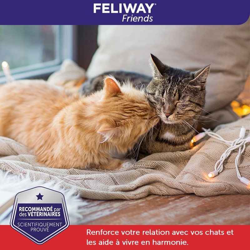 Produit apaisant Feliway pour chat : recharge diffuseur 3x48ml Feliway