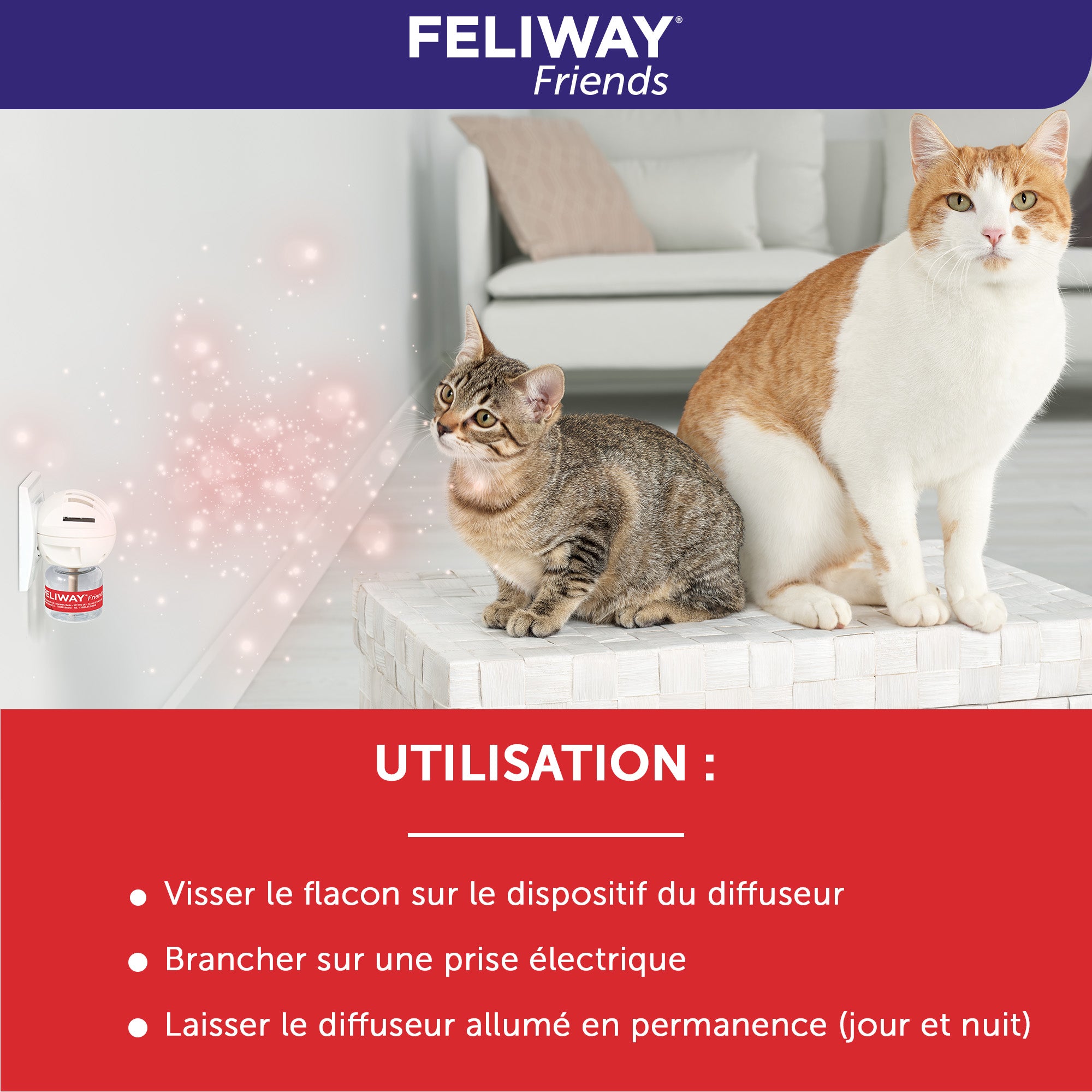 FELIWAY® Friends Diffuseur  Phéromones apaisantes pour chat - Default  Title - FELIWAY France