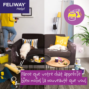 changement nouveauté chat FELIWAY