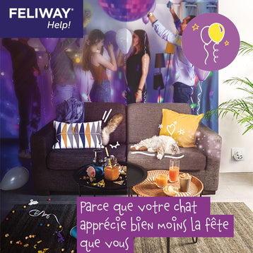 fête à la maison chat